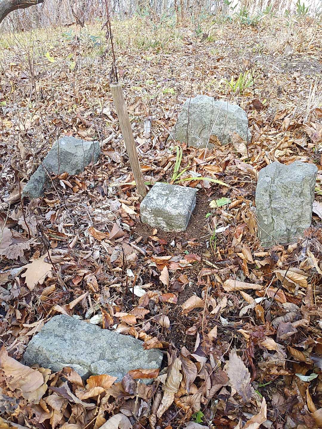 尾崎山山頂国土地理院三角点…保護石４コ
Stone cycle みたいと…(笑)