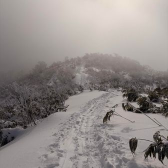 少しガスってきたら寒くなったので下山