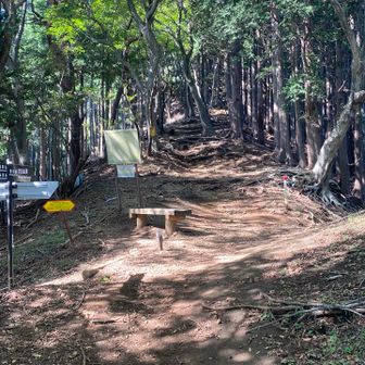 前回断念した地点。ここからがキツイんだよなぁ。