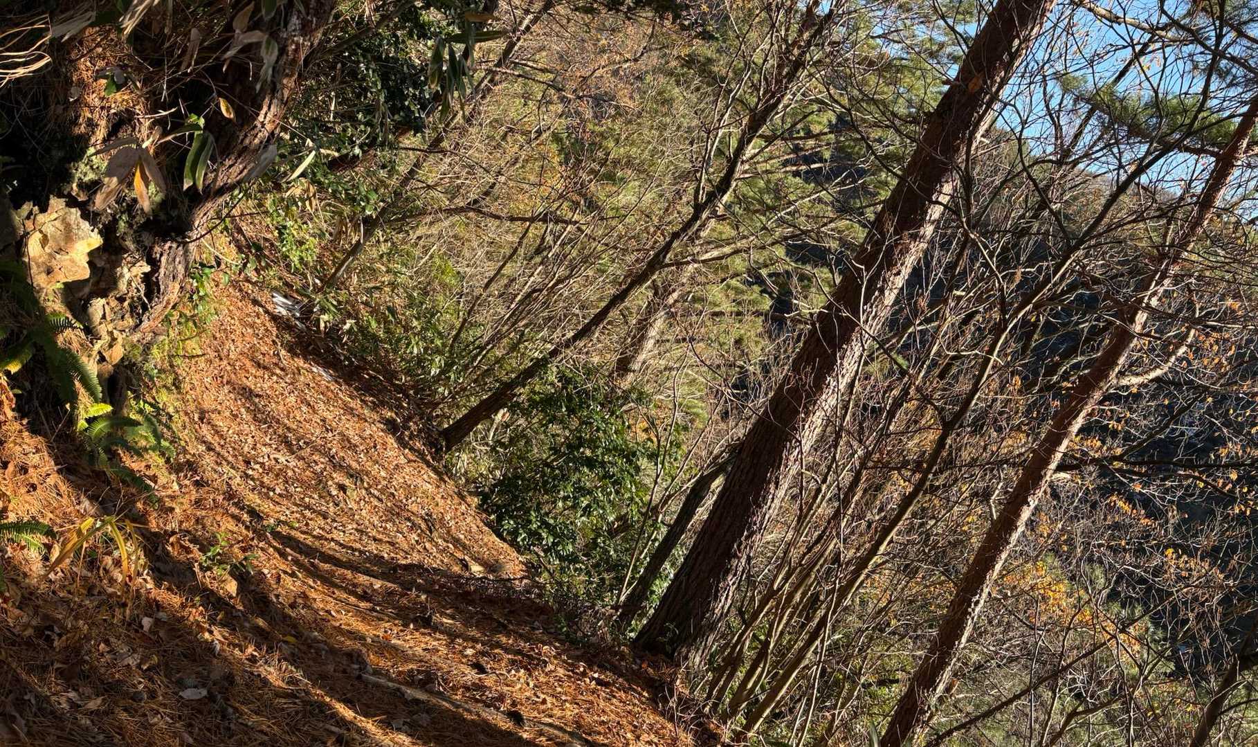 楽しい忘年会　
有難う大雪岳！じゃなく🖐️大倉岳！😆