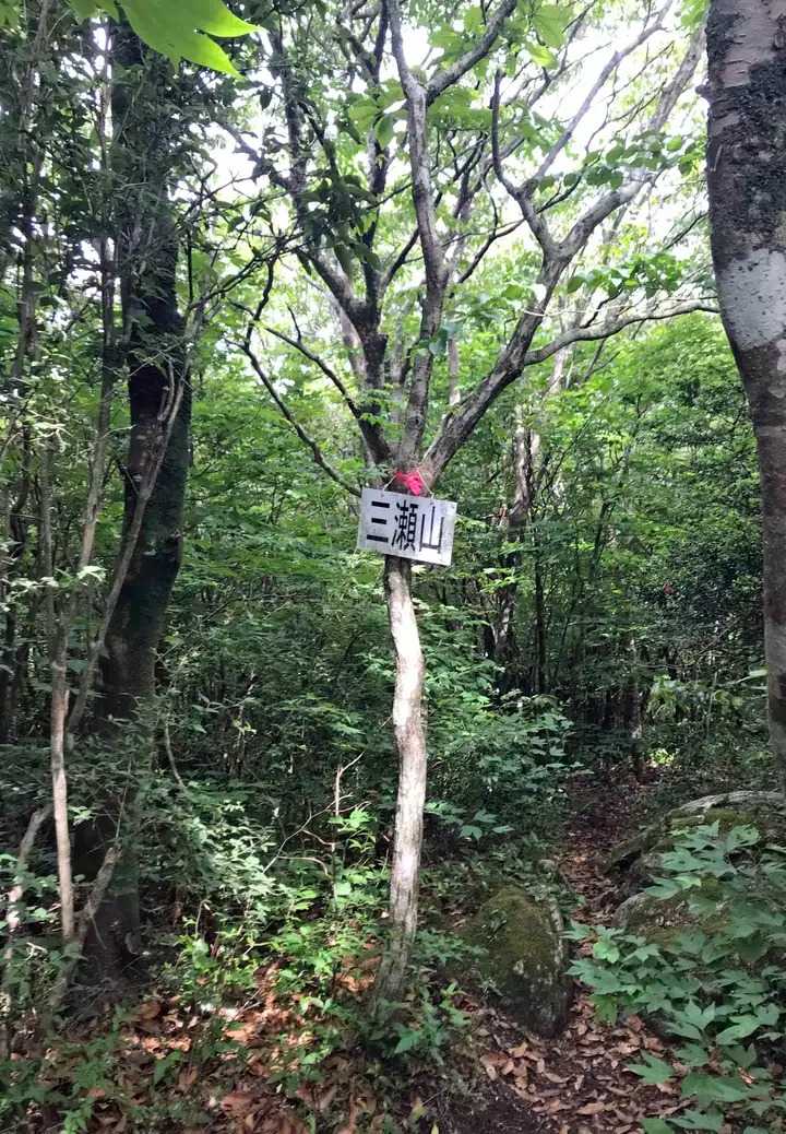 三瀬山の写真