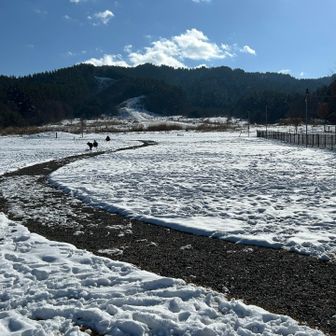 では原山のみの❤️健康維持❄️ウォーキングへ！