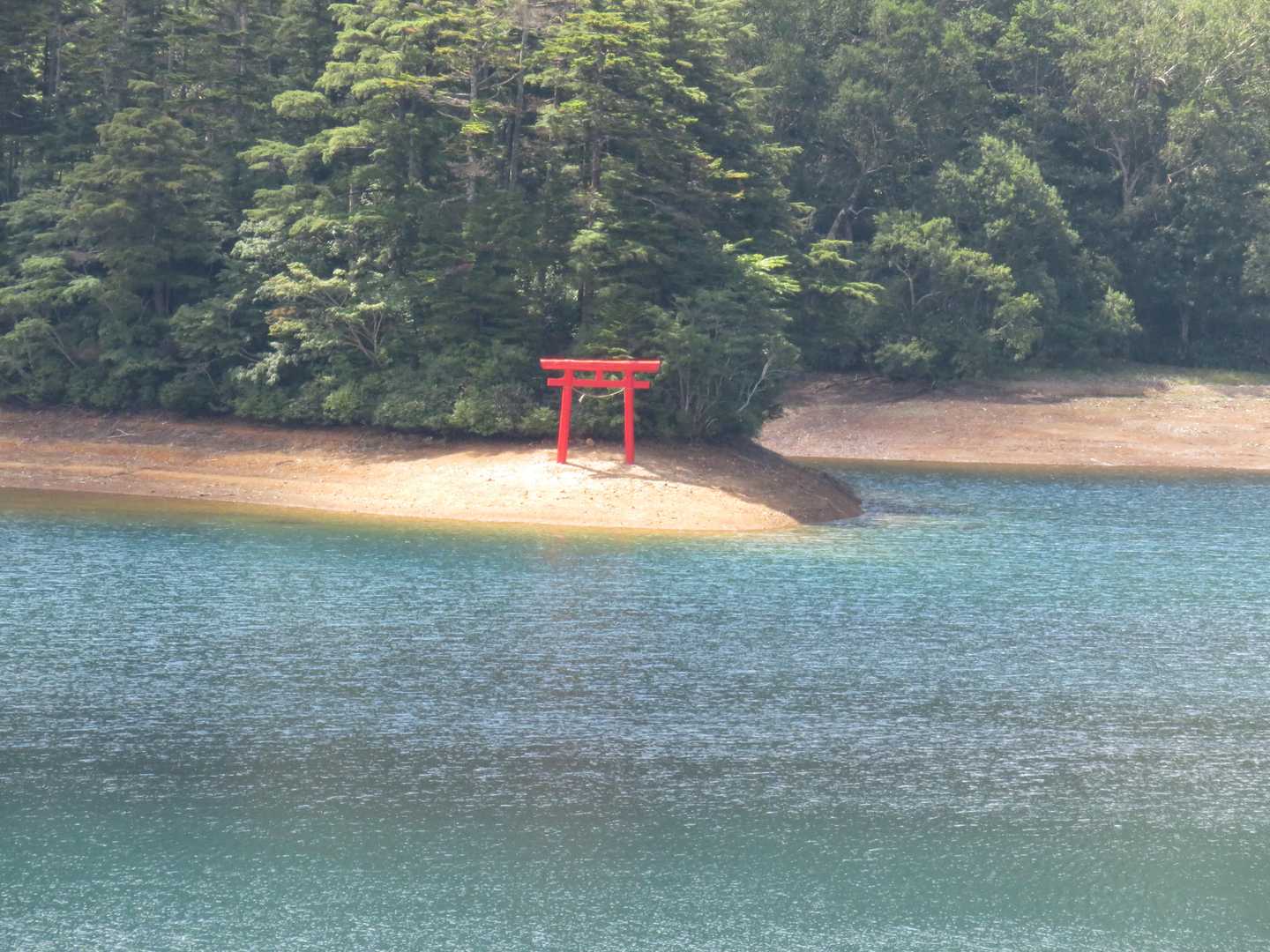 水面から完全に出てしまった鳥居。
