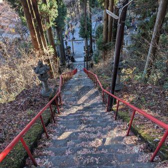 又の機会にと、ロープと鉄筋は置いて帰りました😅。

