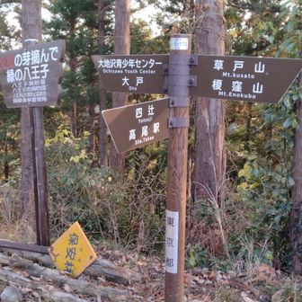 草戸峠だけど、峠というより山頂っぽい。
標識無し。
→あれ、草戸峠はもう少し先だったみたい。