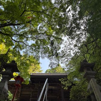 ここからの景色好きやなあ