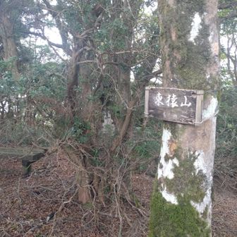 東猿山