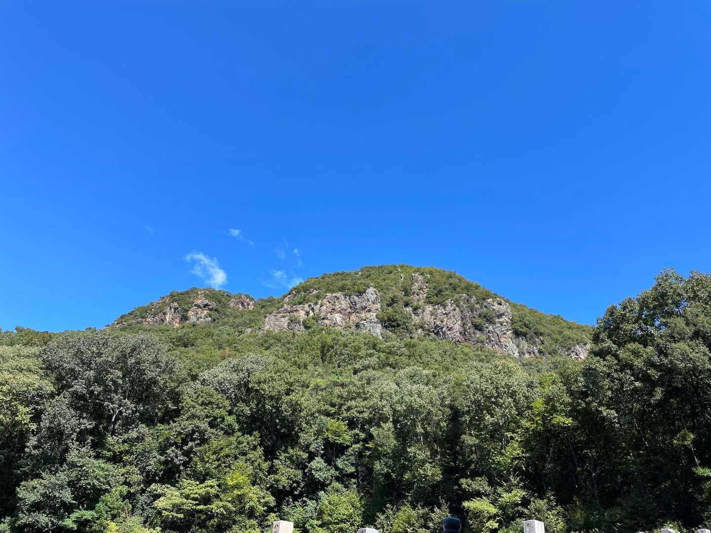 鷹巣山