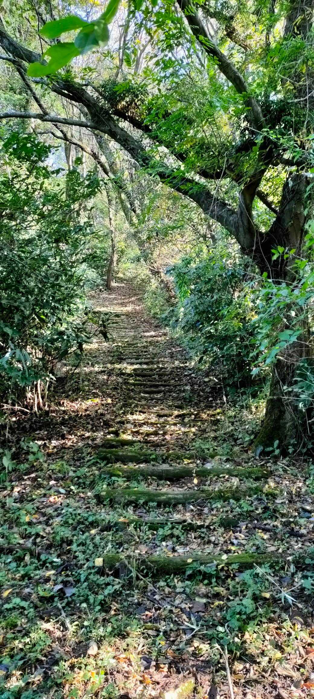 ラスト階段
沢山あって汗かきました😱