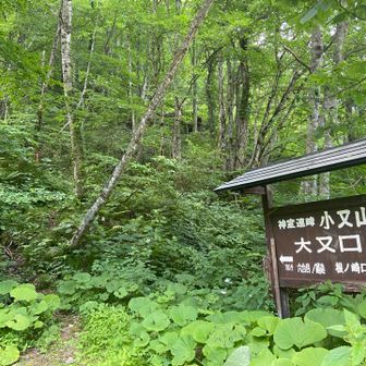 何度も何度も休憩しながら下山
ありがとうございました🙂‍↕️🙏