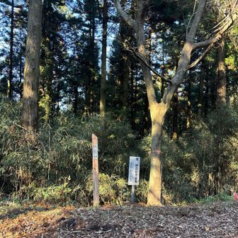 榎峠で車道に出て