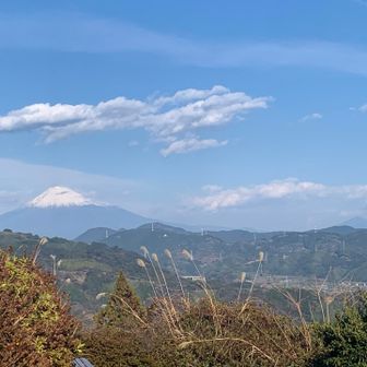 ここずっと富士山綺麗🤩