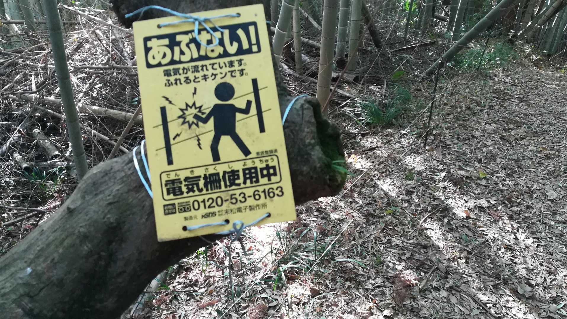 えっ危ない❗
ここら辺は少し薄暗くて、目の悪い私には電線が見えにくい😱
ふっと気付いたら左右に電線があったり😱
