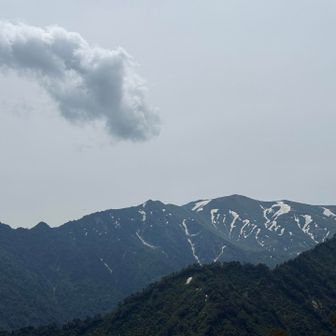 大グラは復旧するのか？？このまま廃道になる予感… → 吊橋は直す予定な模様。来シには開通？？