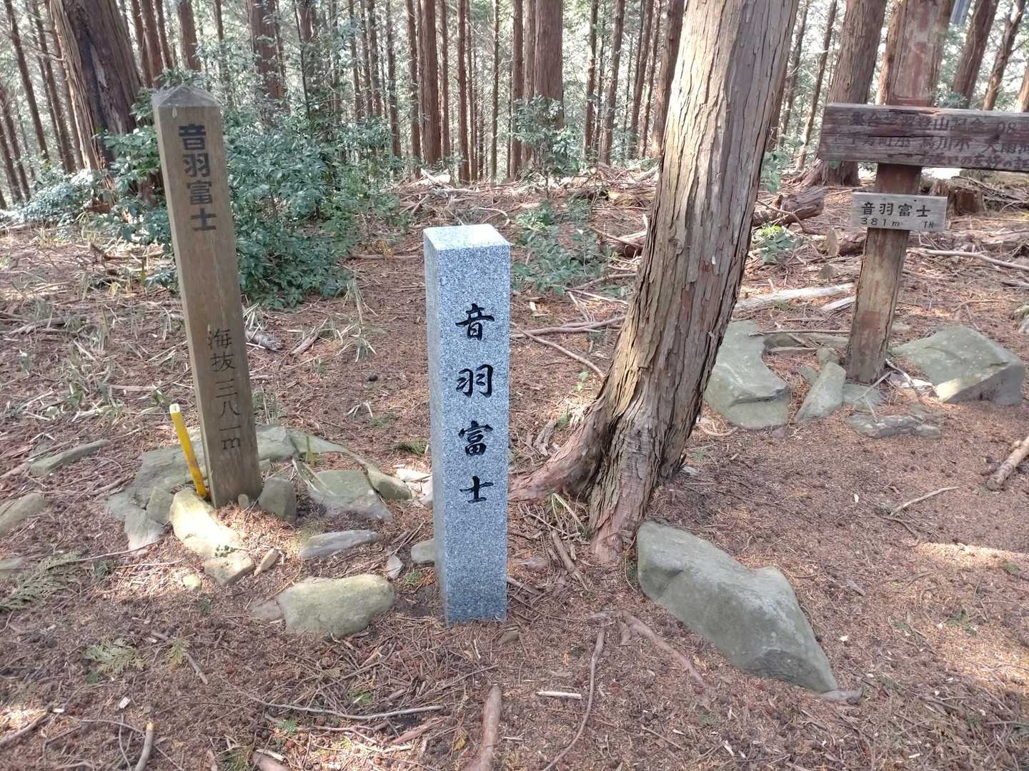 鳥川アルプス 周回コースの写真