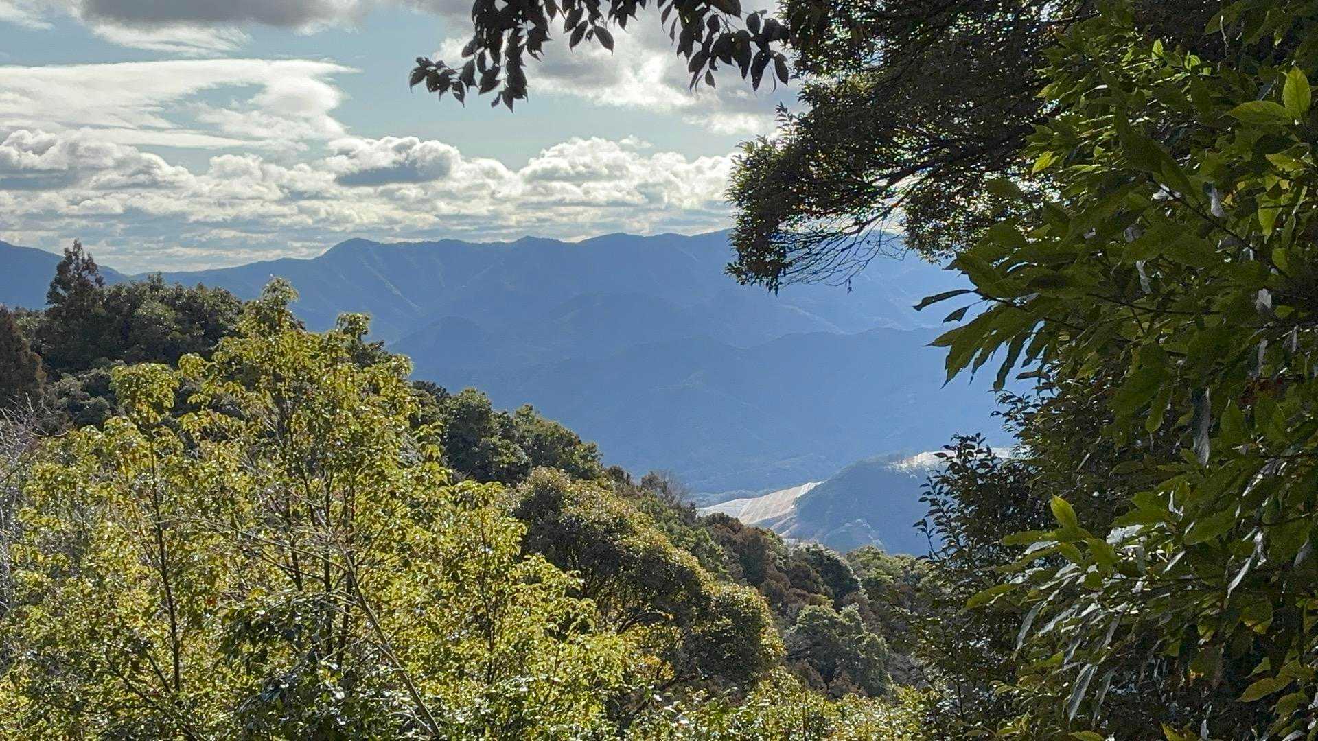 国束山 往復コースの写真