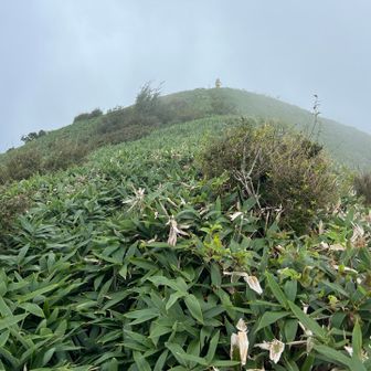 猿越山