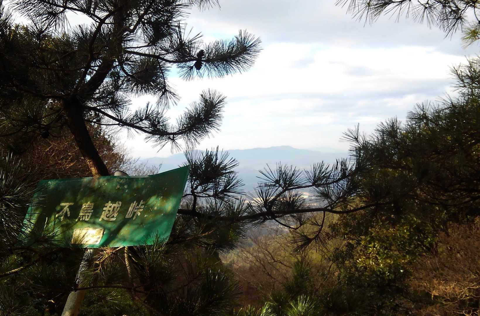 忍者岳-ゾロ峠-北打山-小平山-旗山 周回コースの写真