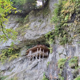 グリーンアップル