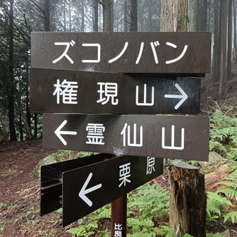 分岐