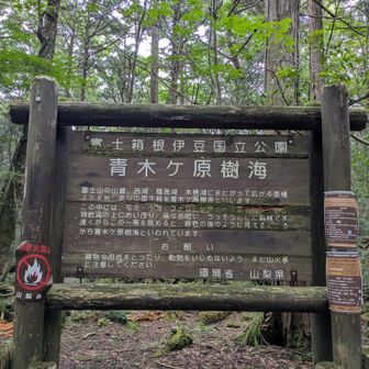 一度来てみたかった🌿