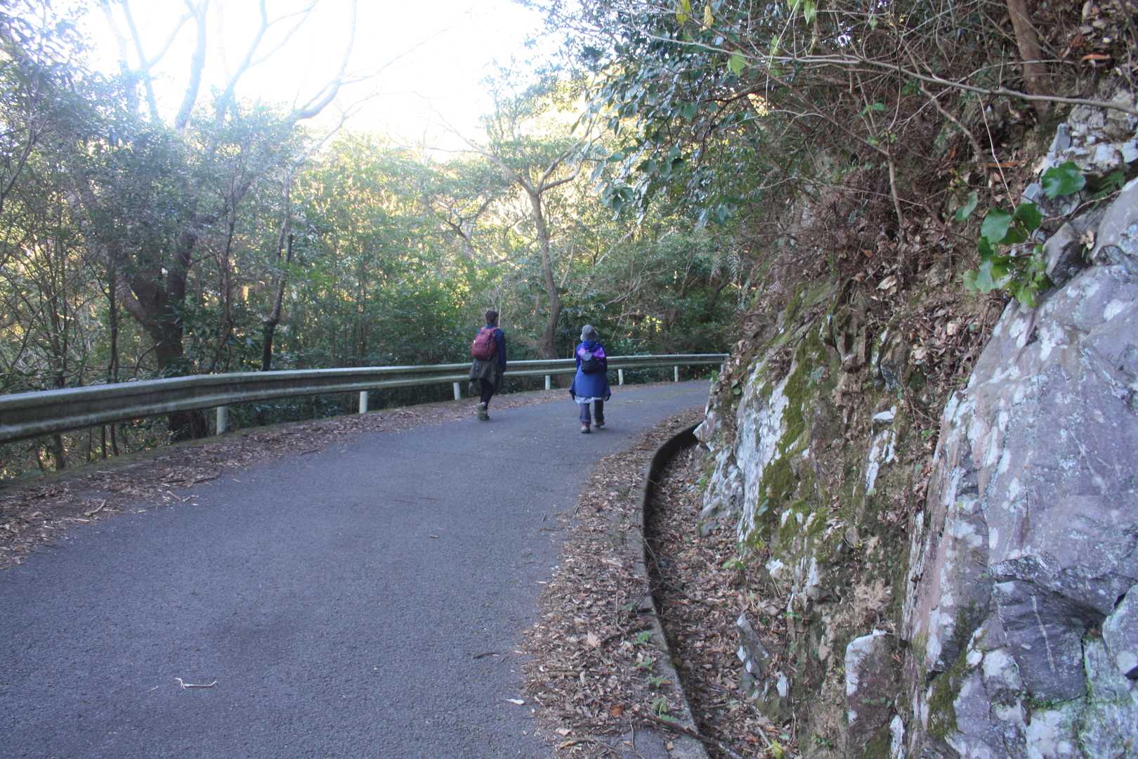 車は少ない