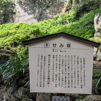 せみ塚　　
「閑かさや　岩にしみ入る　
　　　　　　　　　　蝉の声」
　　松尾芭蕉