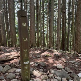 鋸山に着きました！