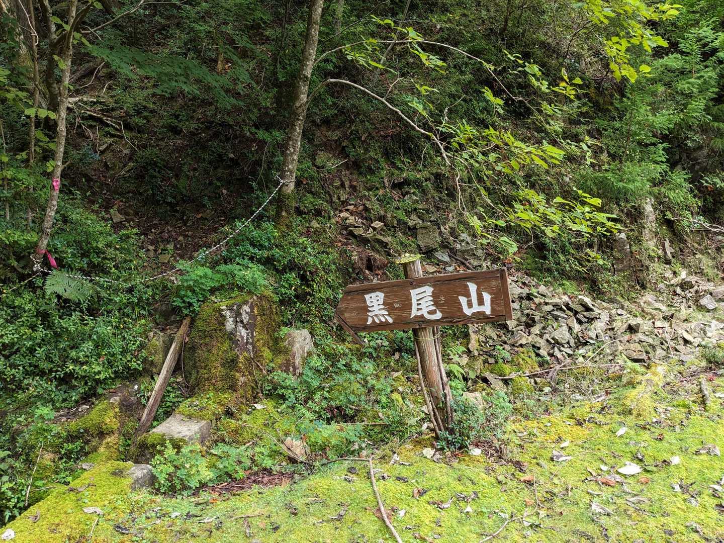 ここが登山口
