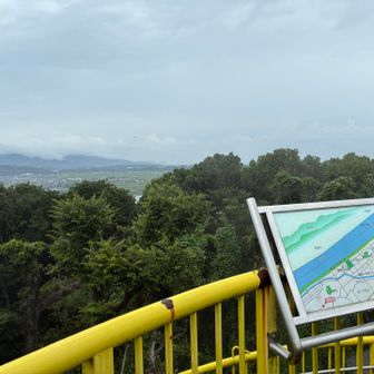 遠賀の街の先は真っ白🤍