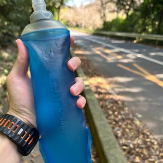 激冷た水500mlを持って、岩間駅までお散歩
この時点でトレランは終了です。