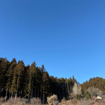 さて　お決まりのさわらびの湯