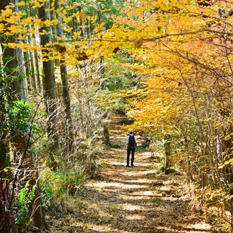 ここの登山道も綺麗すぎる💛