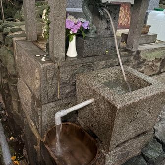 高住神社の聖水を頂いて、今晩の水割りに