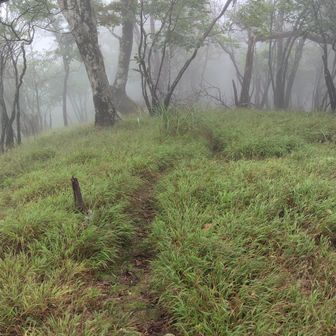 向坂山方面