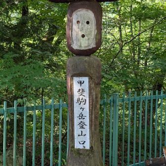 行ってきます！
