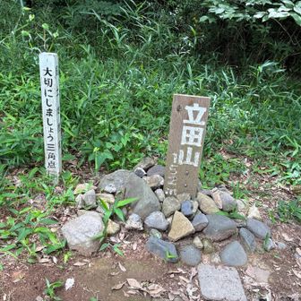 お久！
ひっそりとある標識
