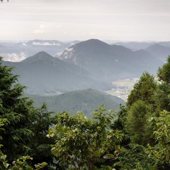 大井戸山唯一の眺望🫣