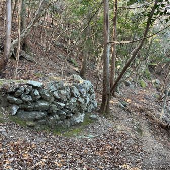 三界坊から町境尾根には直角に降りないとダメだった
トラバース道に入るとここにも立派な炭焼き窯