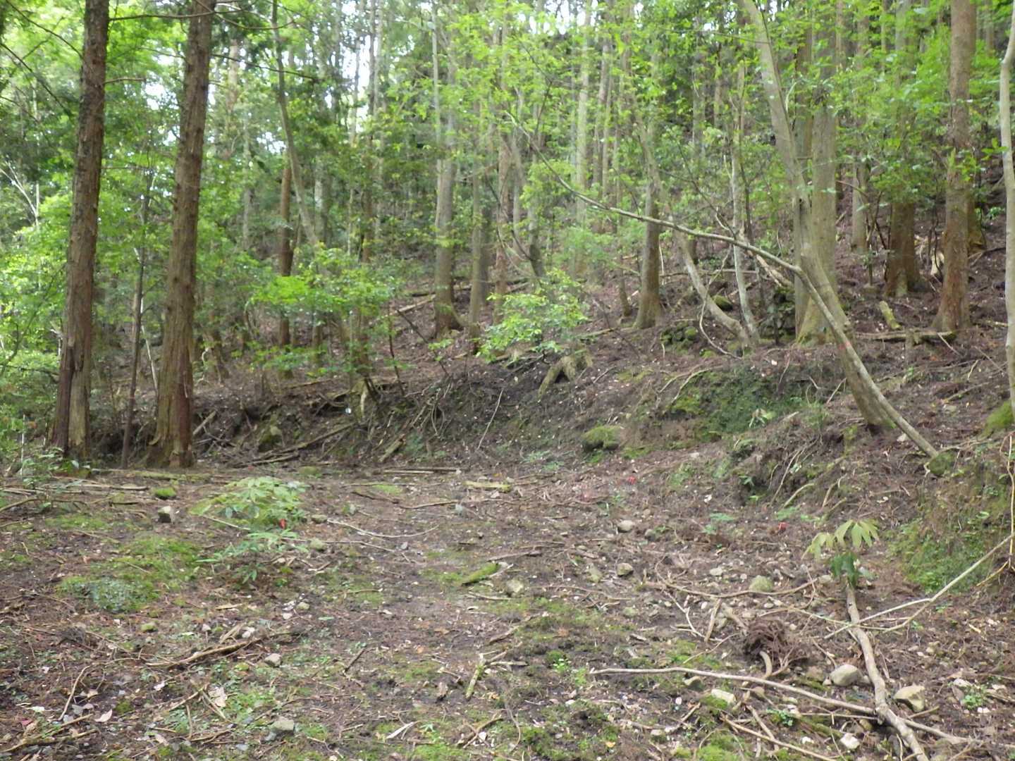 登りの取り付きに合流
