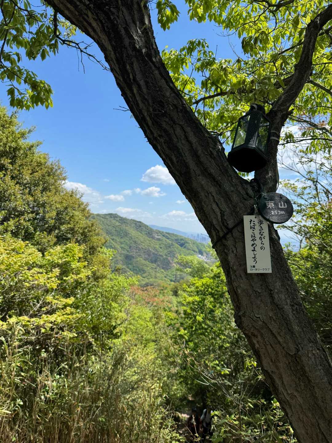 東山に到着🙌
一旦ここはスルーして、馬の背を目指します😊