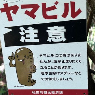 可愛くない