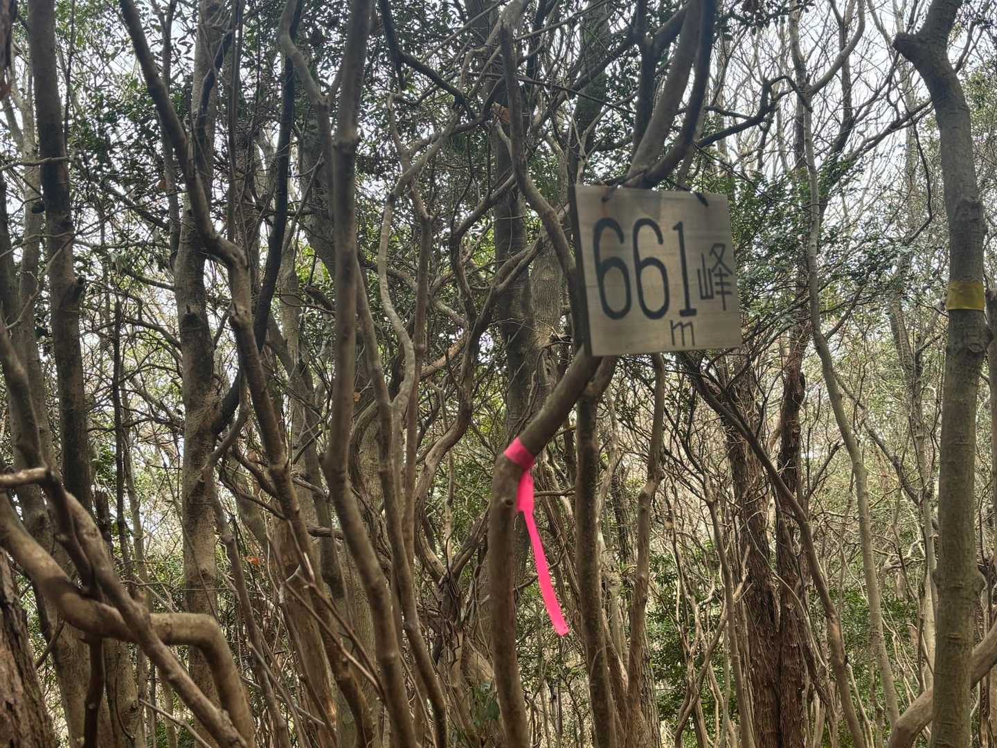 661峰