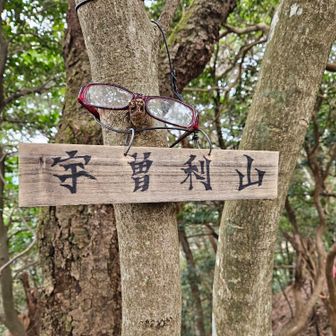 山頂を通り過ぎて戻りました
宇曽利山山頂です🙌
ここも眺望はなし
距離的には短いですが　幾つかの急斜面のアップダウンがあり　
簡単に着くだろうと軽く考えていましたが　なかなかの難路でした