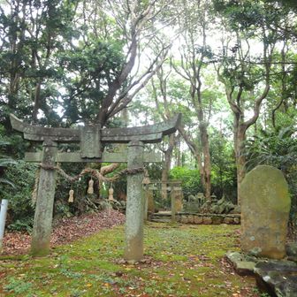 遠見岳山頂
YAMAP1788座目