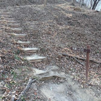 すずは階段登れるの？