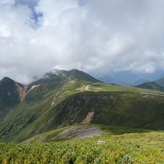 魔王岳頂上からの絶景✨
森林限界より上のハイマツ地帯、深緑が綺麗