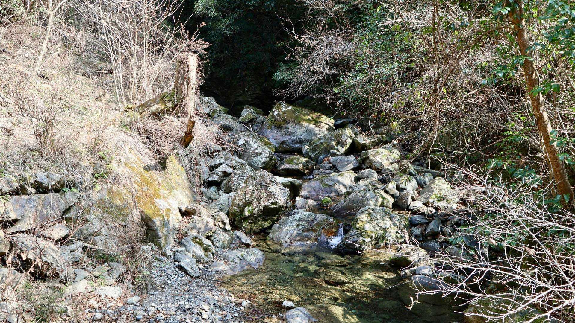 真妻山 周回コースの写真