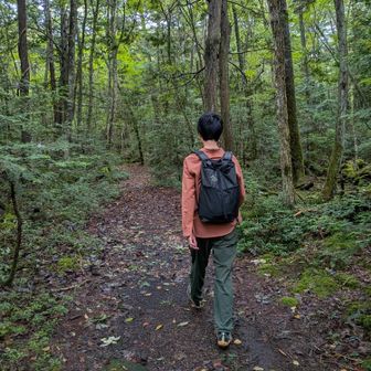 終盤でようやくクモの巣も落ち着いた