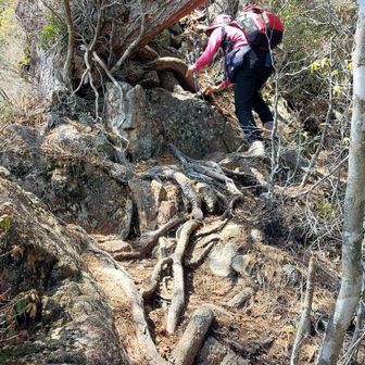 下山が又一苦労😂